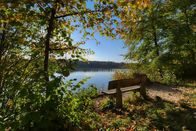速推进和转 速推进和转