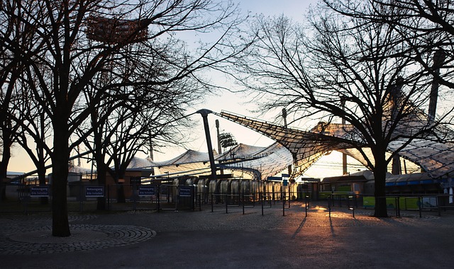 动的孩子 动的孩子