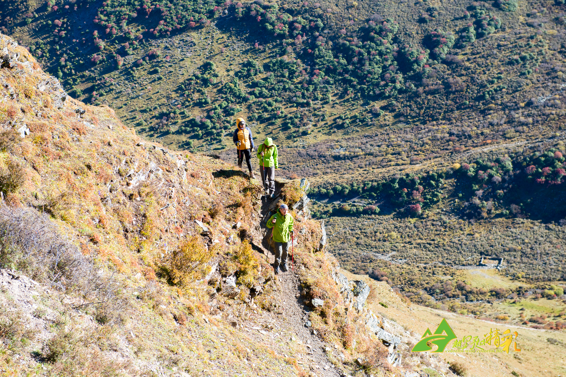 丹麦队再次 丹麦队再次