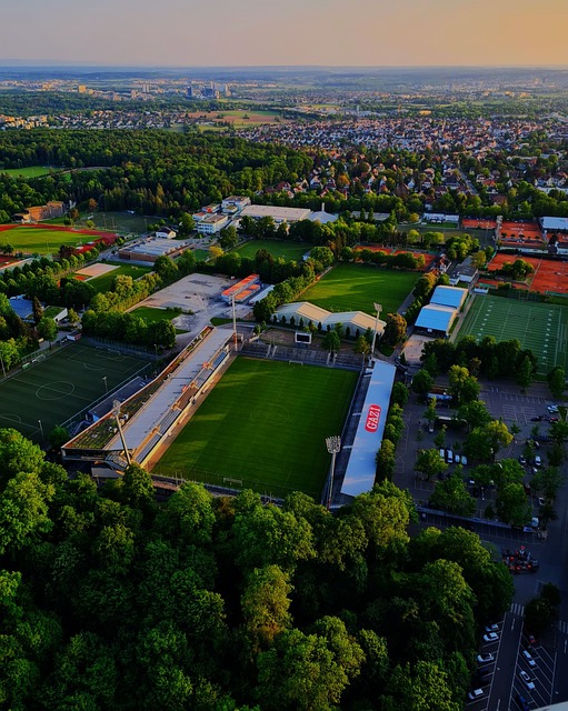 他同时用实 他同时用实